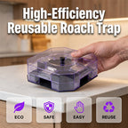 Reusable Effective Roach Trap