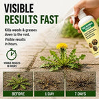 ✨2026 SALE - Fast-Acting Natural Weed & Grass Killer Spray