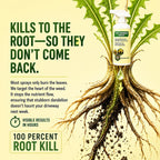 ✨2026 SALE - Fast-Acting Natural Weed & Grass Killer Spray