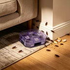 Reusable Effective Roach Trap